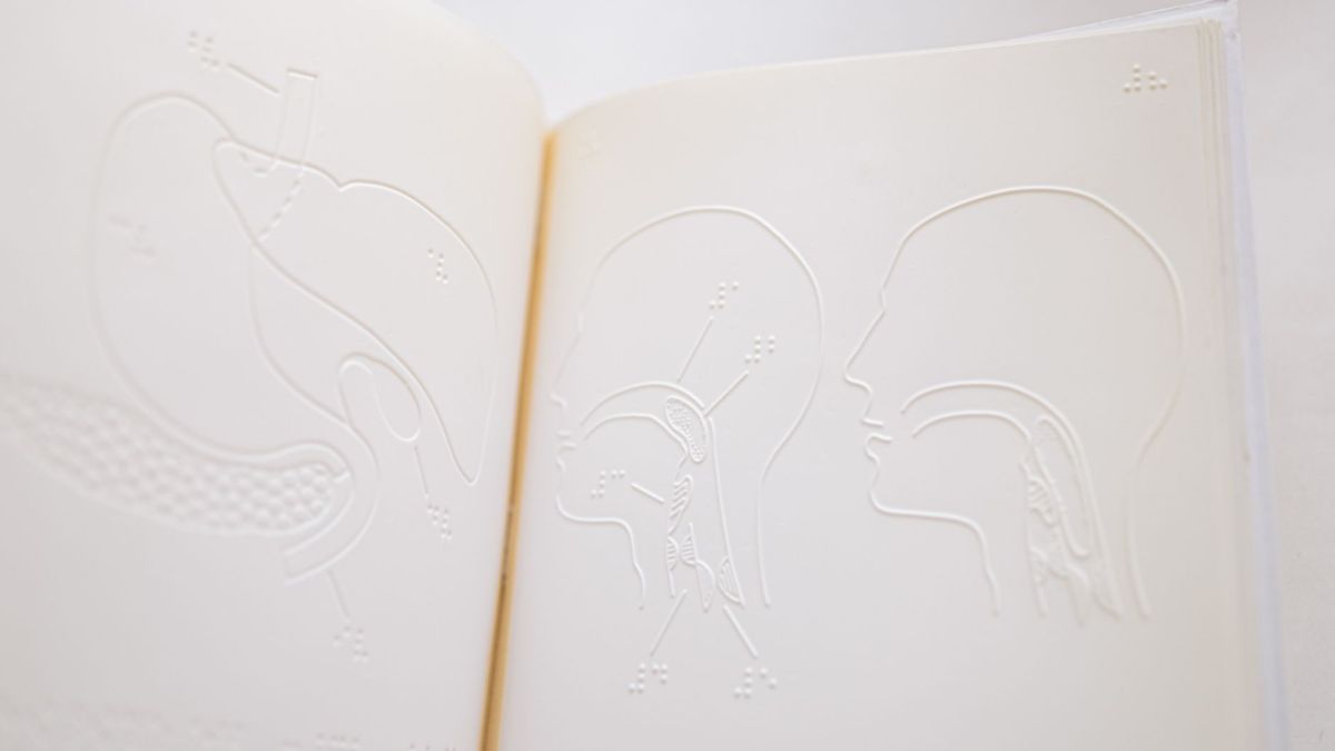 Detailed close-up of embossed anatomy diagrams on an open braille book page.