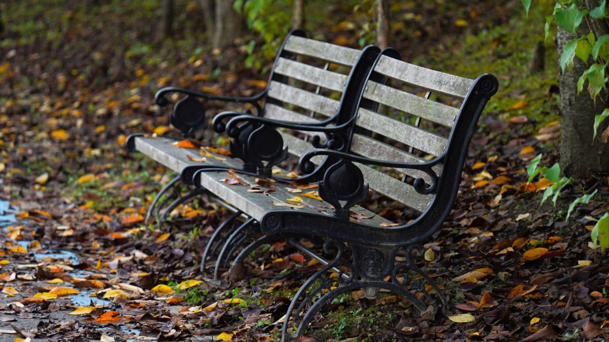 Rustic park benches surrounded by fallen autumn leaves.