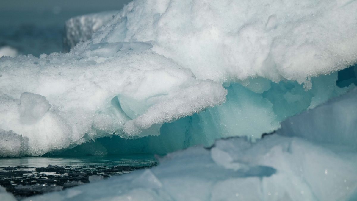 Detailed view of a floating iceberg in icy waters, showcasing its deep blue hues and textures.