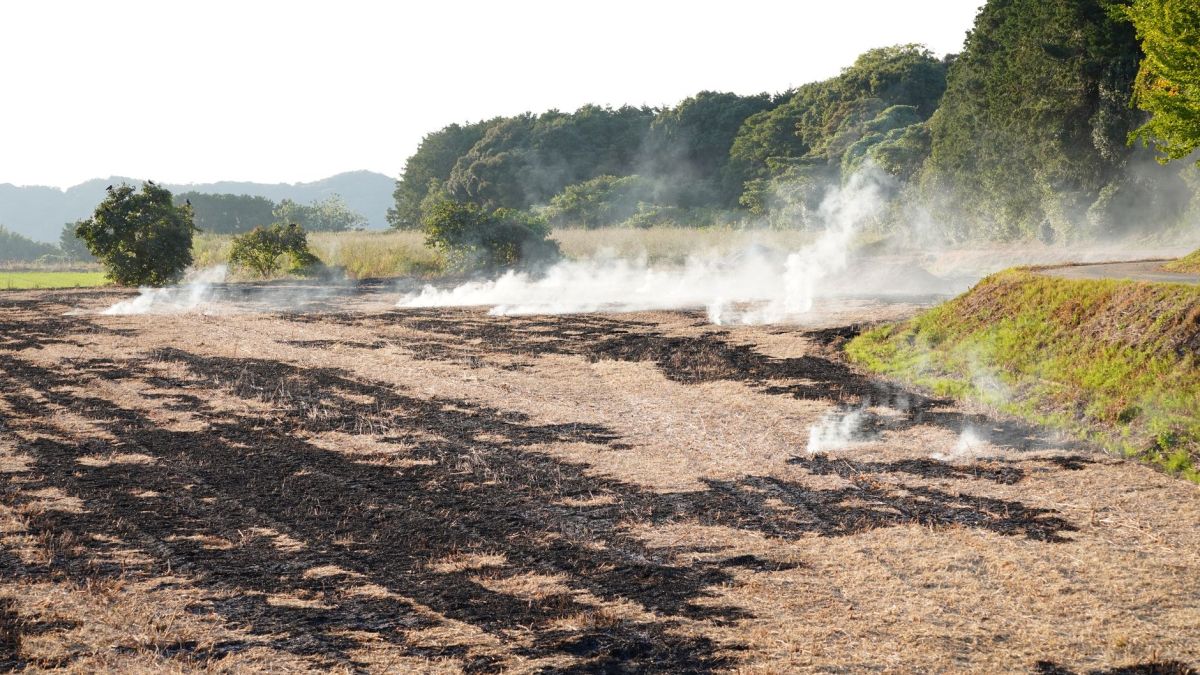 Smoke ascends from a recently burnt field in a lush rural landscape, bordered by trees.