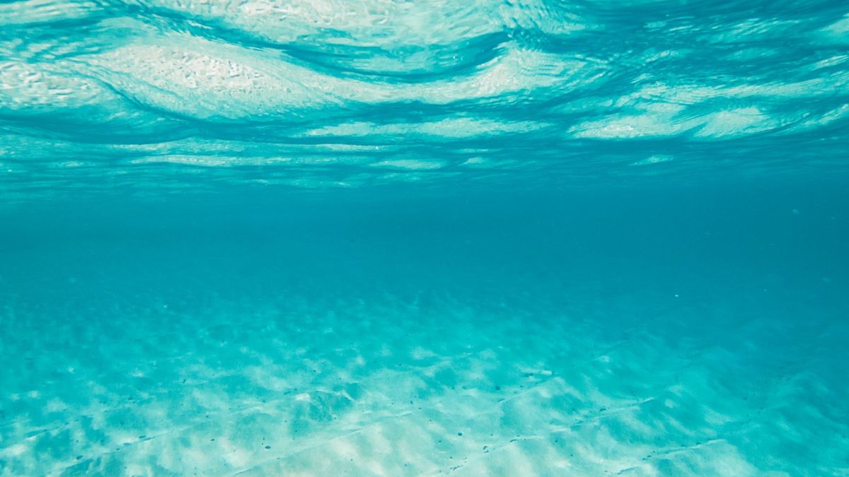 Stunning underwater view showcasing the clear turquoise waters and sandy ocean floor.