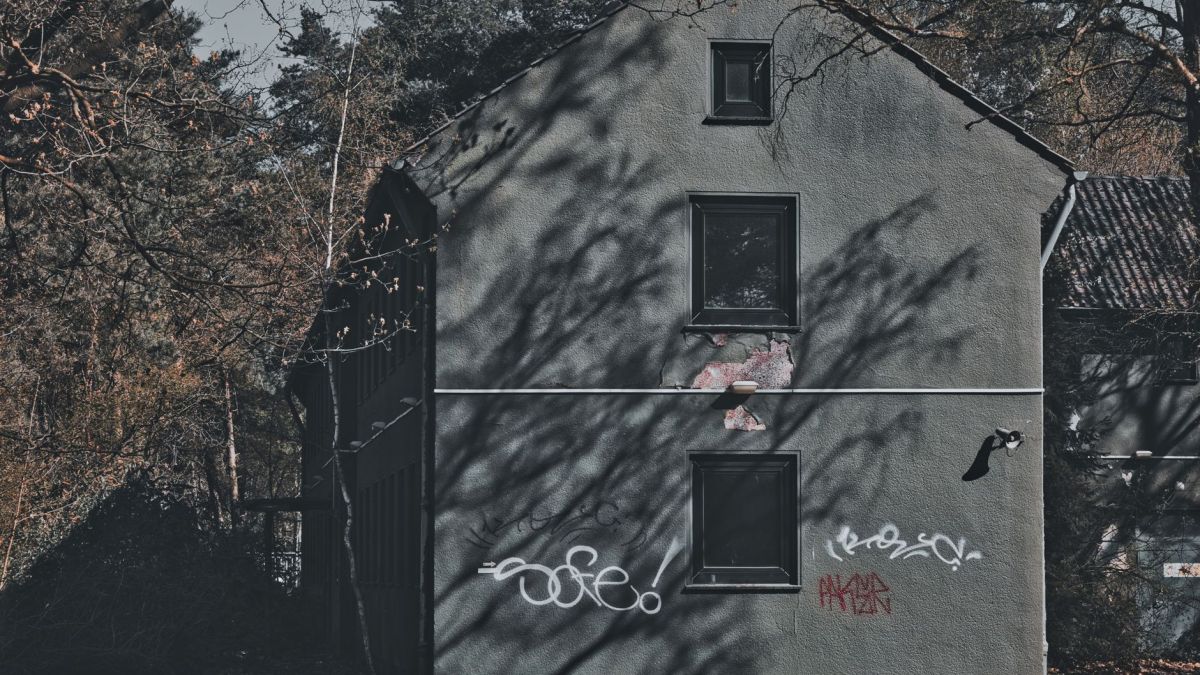 An old, graffiti-covered house in a forest, casting dramatic shadows.