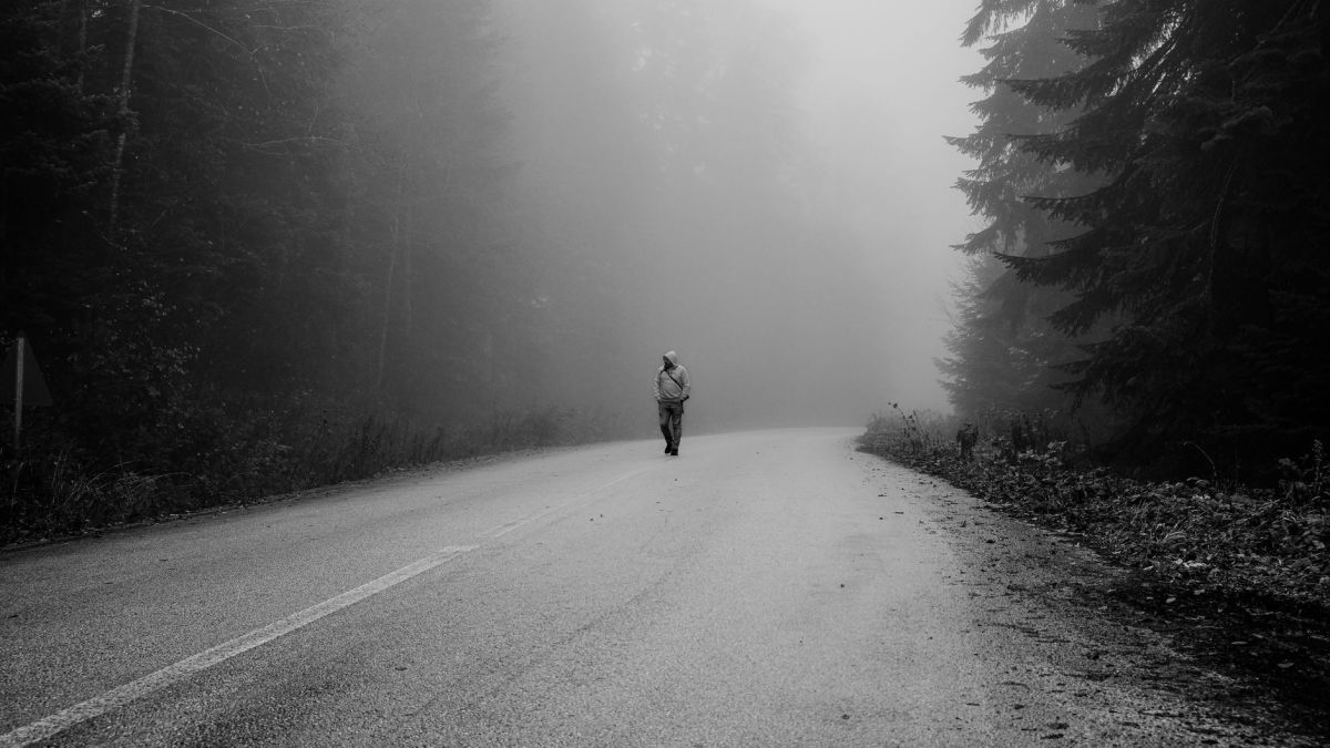 Mysterious black and white photo of a solitary figure walking on a foggy forest road in Bolu, Turkey.