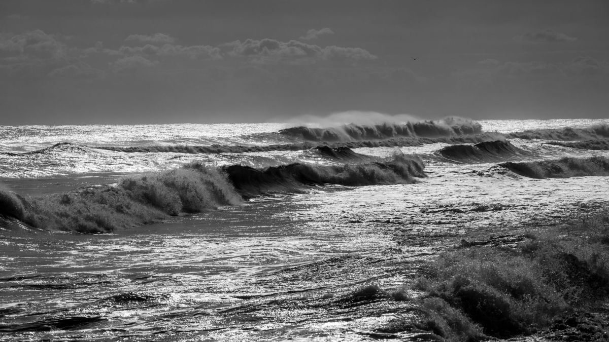 Black and white photo capturing the dynamic waves in the ocean