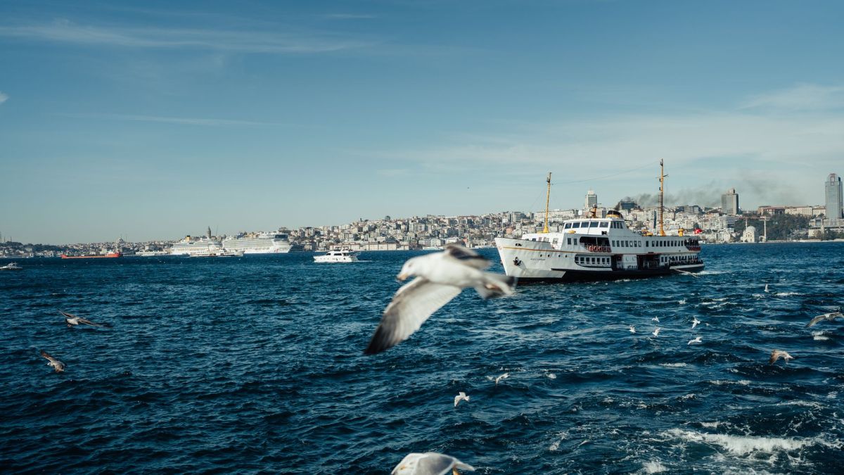 Seagulls flying over the Bosphorus with ferries and Istanbul cityscape in the background, Turkey.
