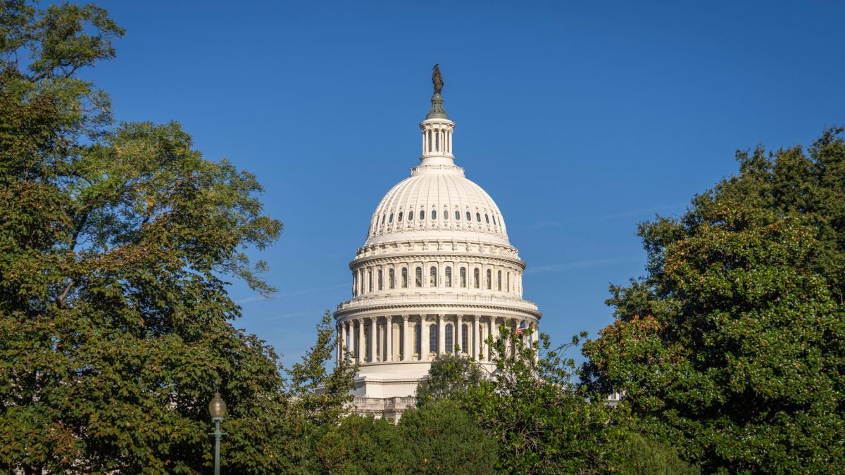 A stunning day view of the US Capitol Building framed by lush trees under a clear blue sky.