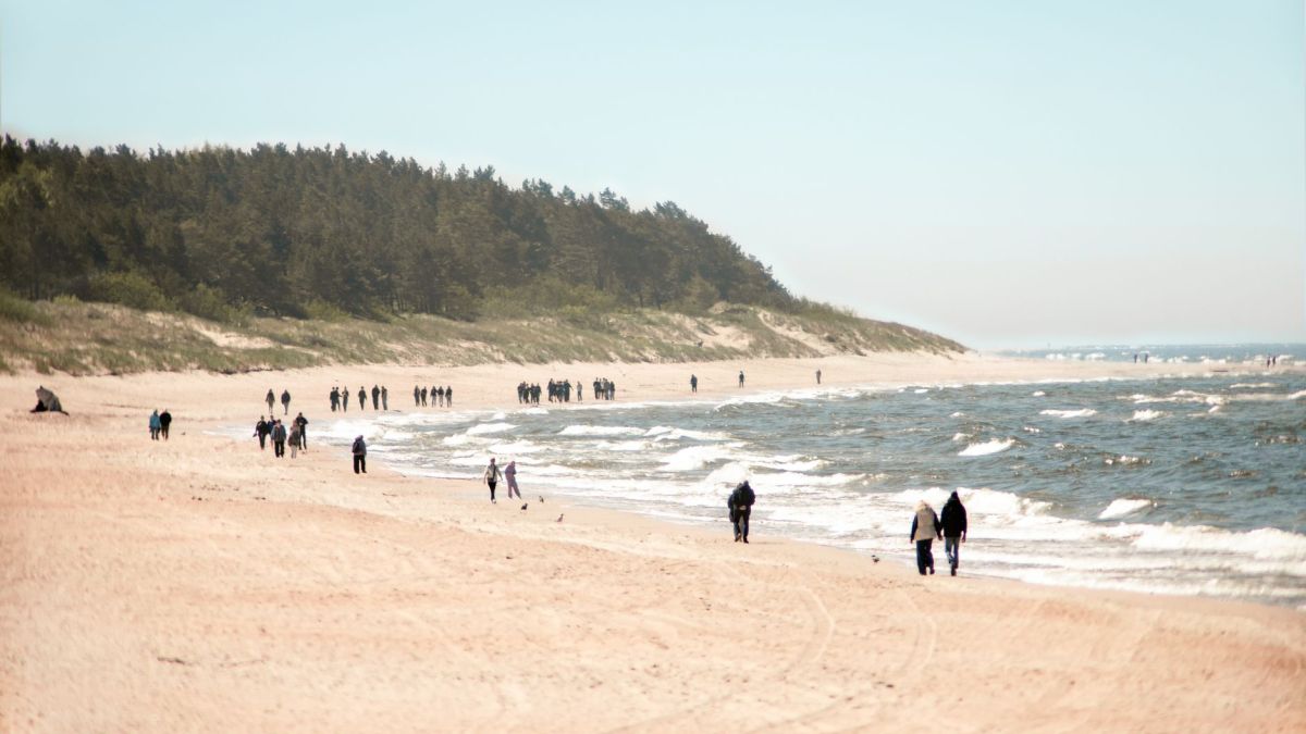 People walking along the serene Palanga Beach in Lithuania with gentle waves and a forest backdrop.